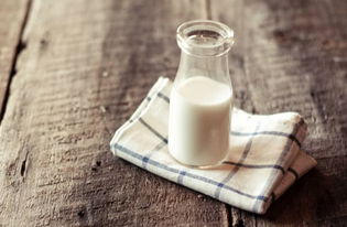 喝牛奶可以提高免疫力吗？如何提高免疫力