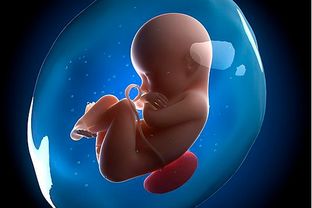 如何判断宝宝睾丸下降?如何判断宝宝睾丸是否下降