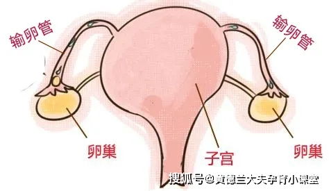 香港输卵管解扎术如何?结扎输卵管疏通手术要多少钱一般