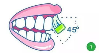 如何保护牙齿?如何保护牙齿?教你十个护牙小知识