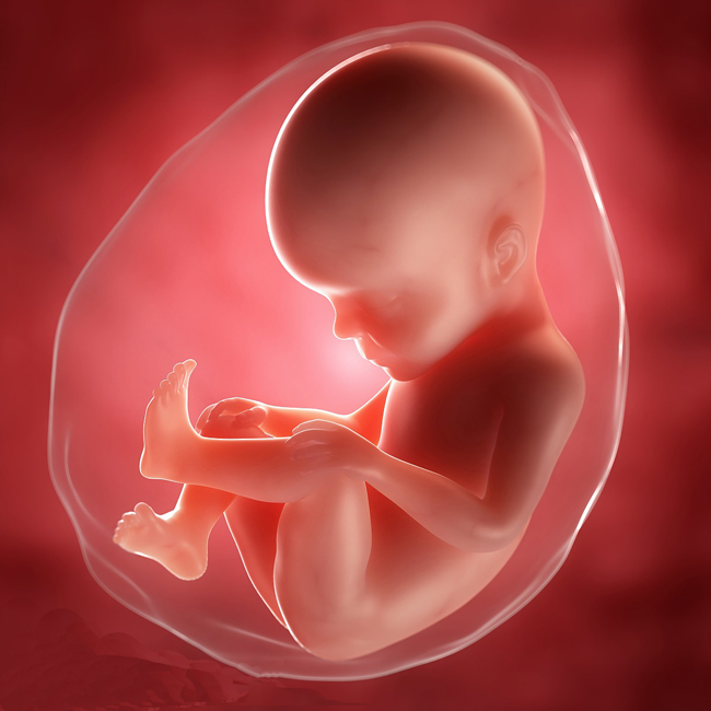 如何促进精子进子宫的简单介绍