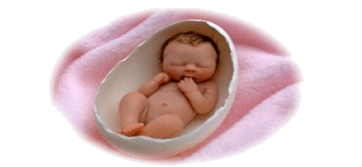 流产后的胚胎如何埋葬?流产后的胚胎如何埋葬呢