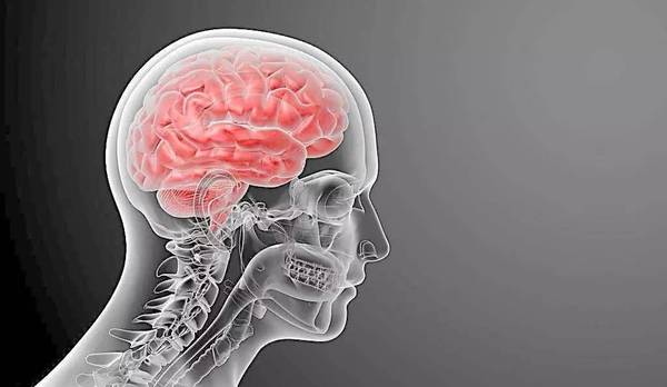 脑干炎如何治疗?脑干脑炎是什么症状